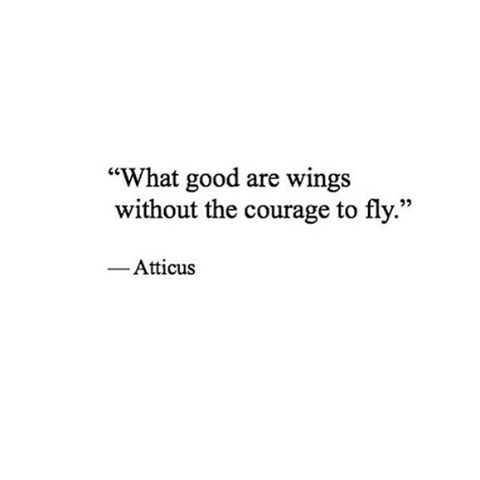 Are you living up to your full potential? #embraceyourcourage #andfly